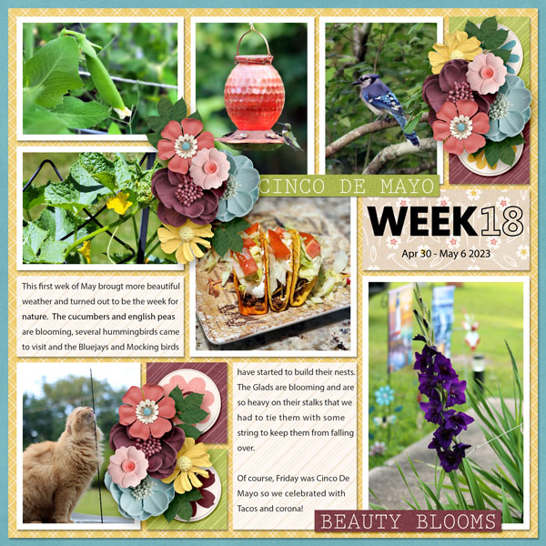 Project Life - Week 18