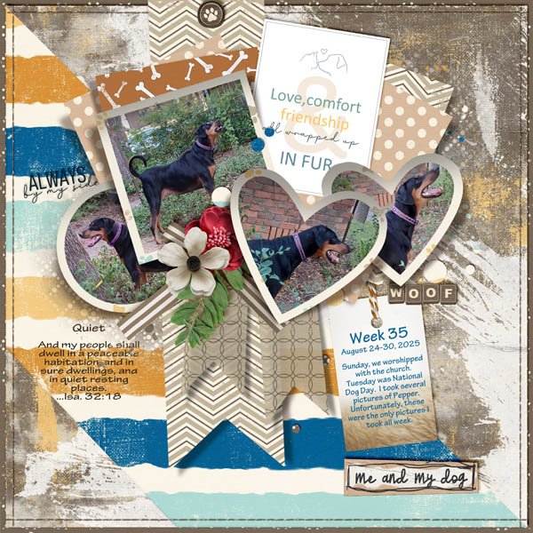 Project Life Week 35