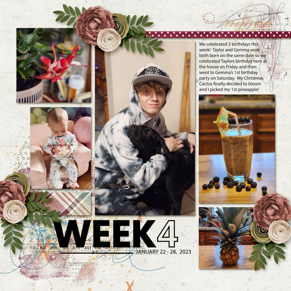 Project Life - Week  4