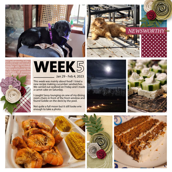Project Life - Week 5
