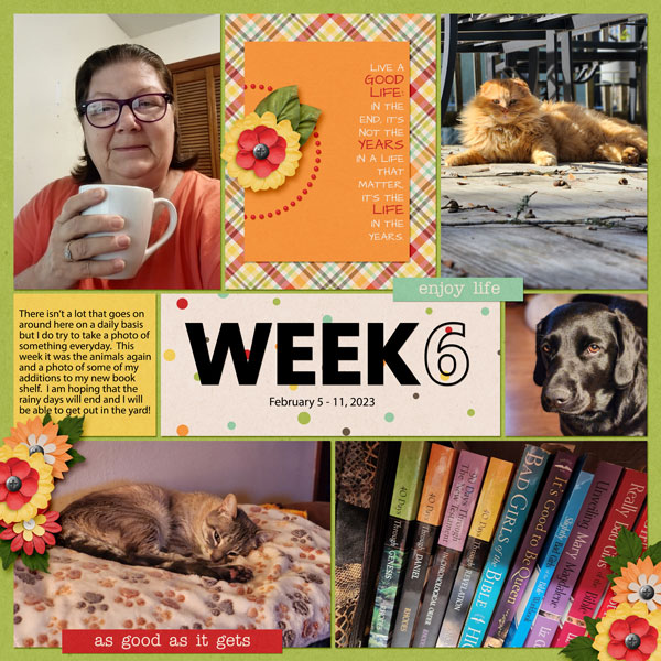 Project Life - Week 6