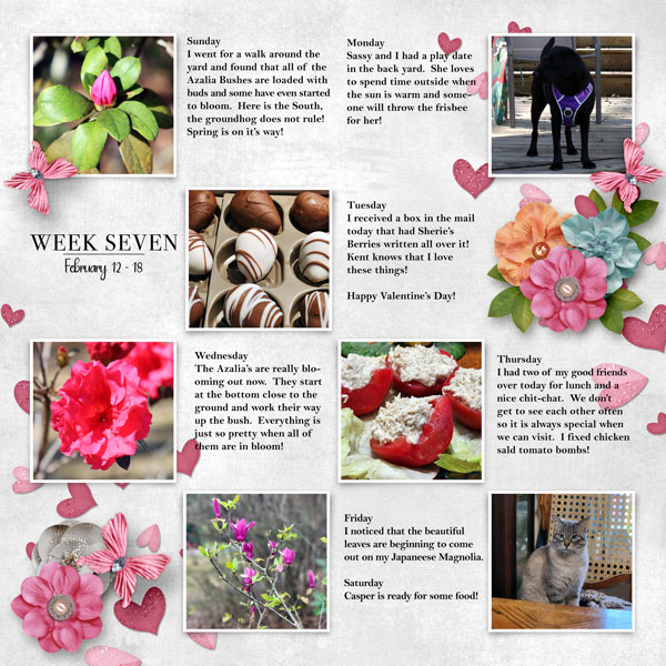 Project Life - Week 7