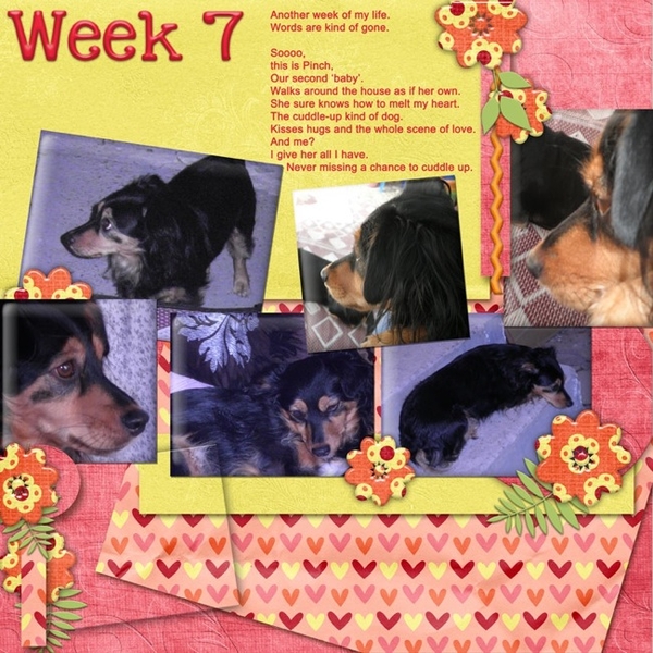 Project_365_Week_07