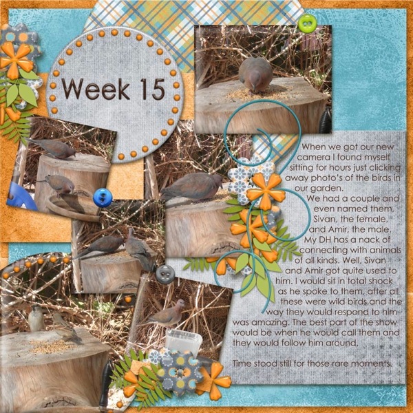 Project_365_Week_15