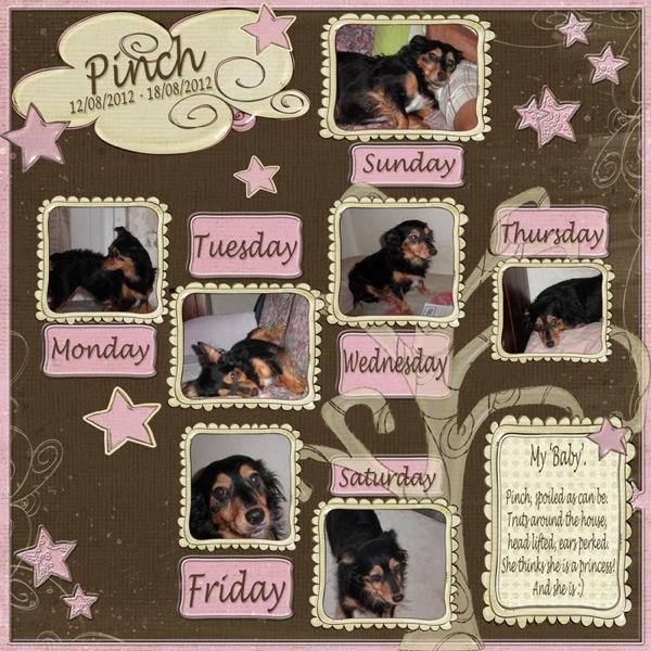 Project_365_Week_33