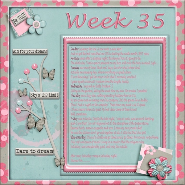 Project_365_Week_35