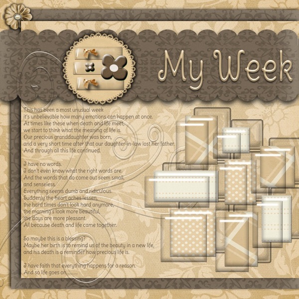 Project_365_Week_41