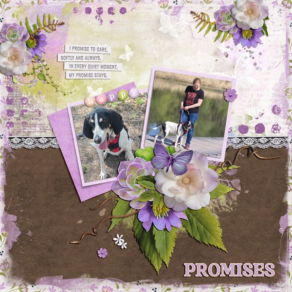 promises