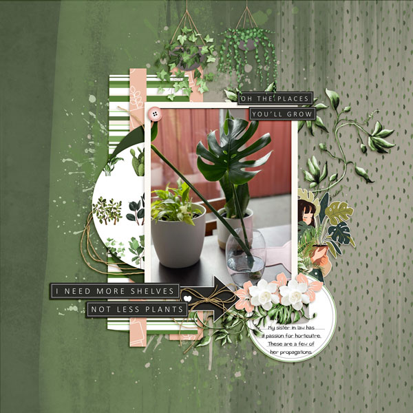 Propagation