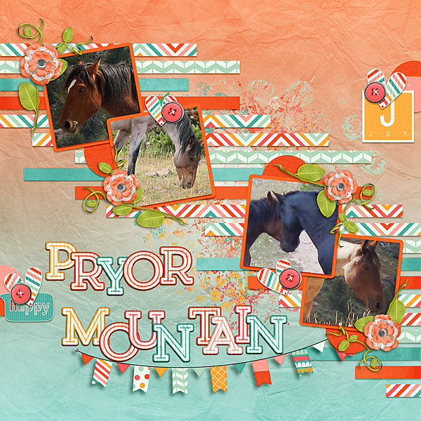 Pryor Mountain