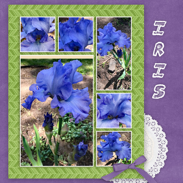 PS_-_GS_6_19_Pock