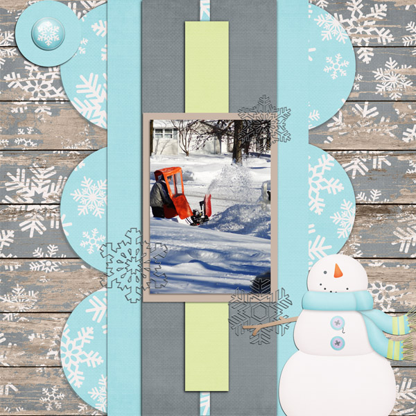 PS_-_GS_Jan_17_T_2