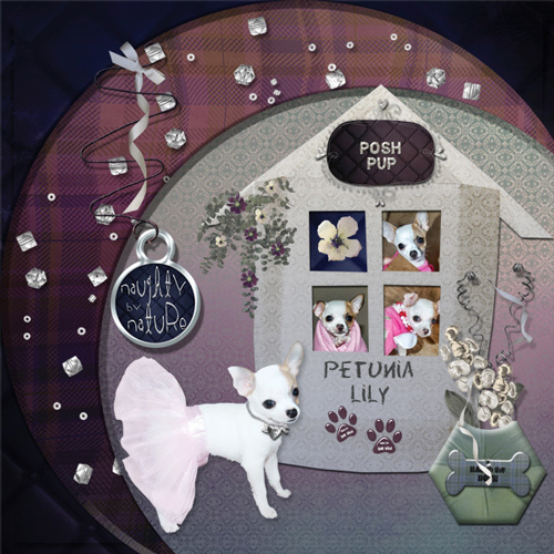 Psychozoe Posh Pooch