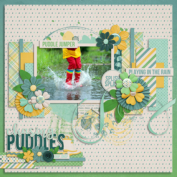 puddle jumper