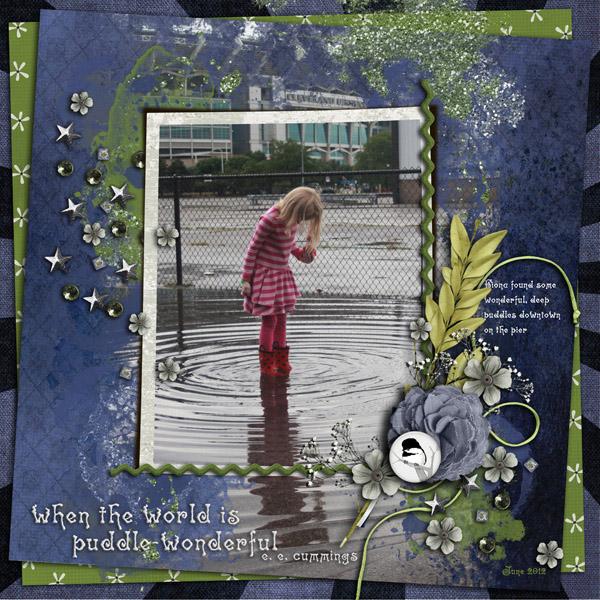 Puddle Wonderful