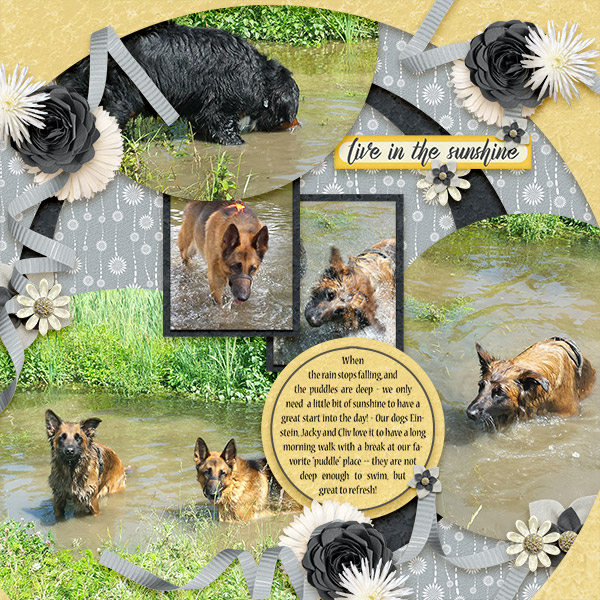 PuddleRefresh
