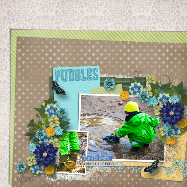 Puddles