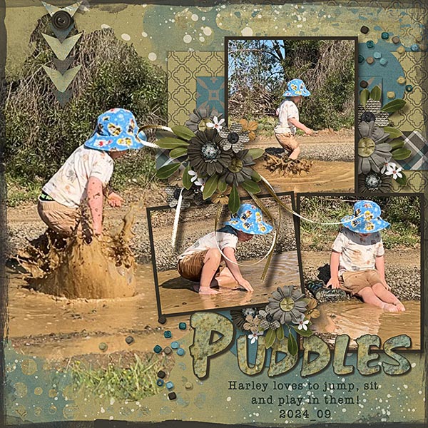 Puddles