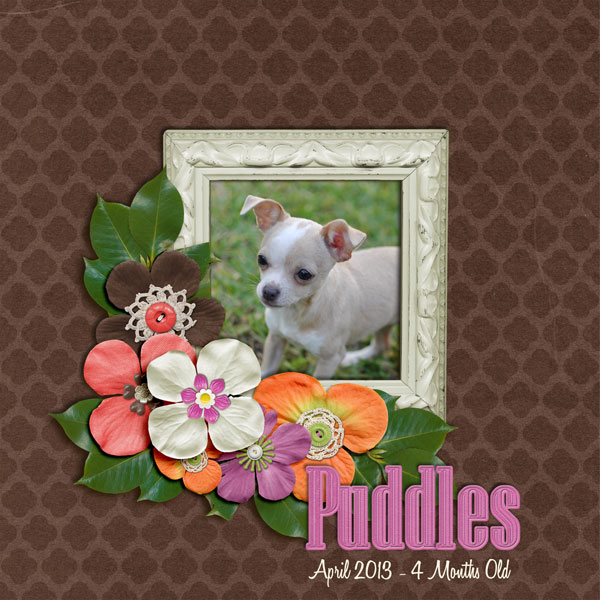 Puddles