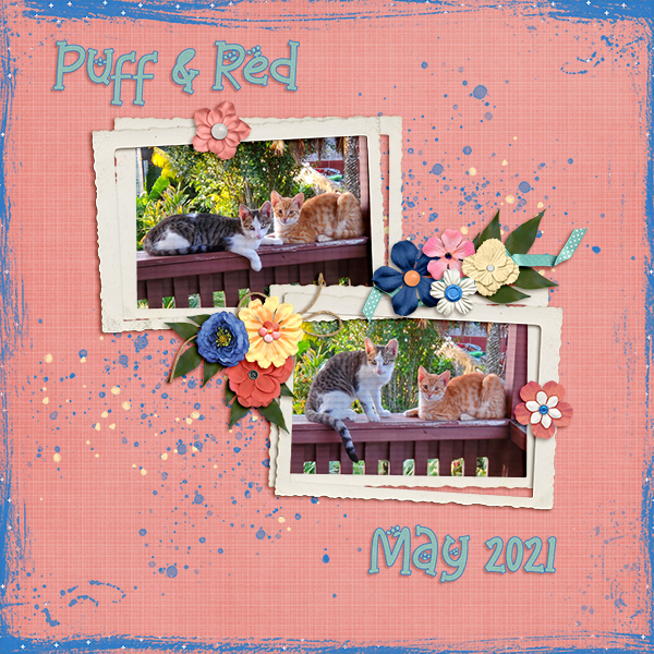 Puff and Red