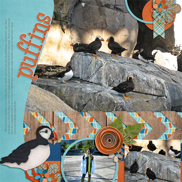 Puffins