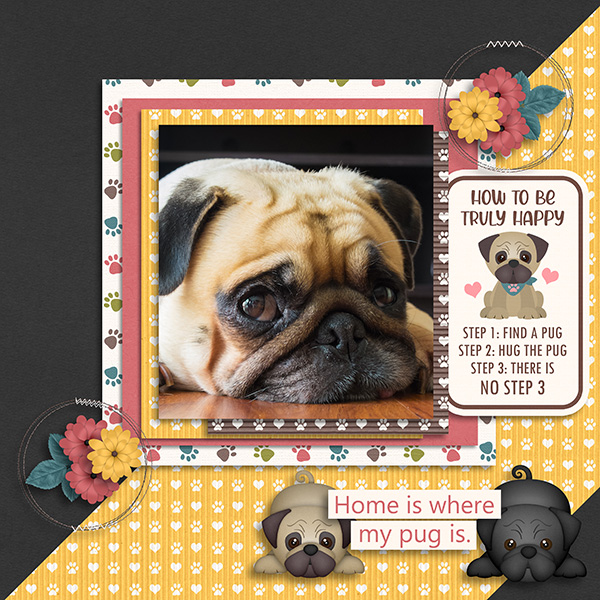 Pug