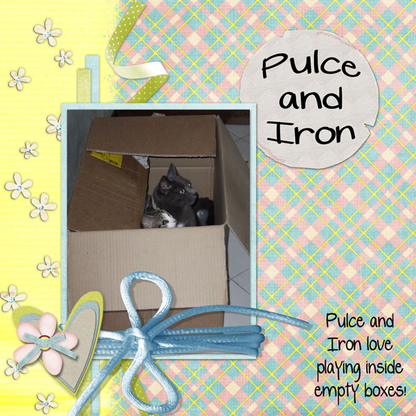 Pulce and Iron