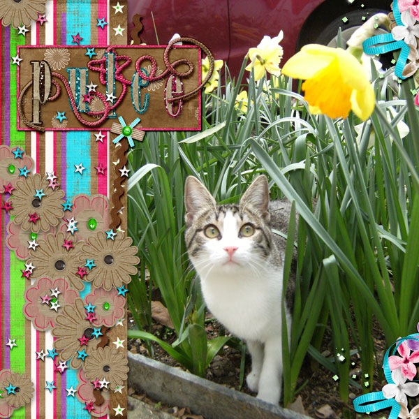 Pulce loves spring