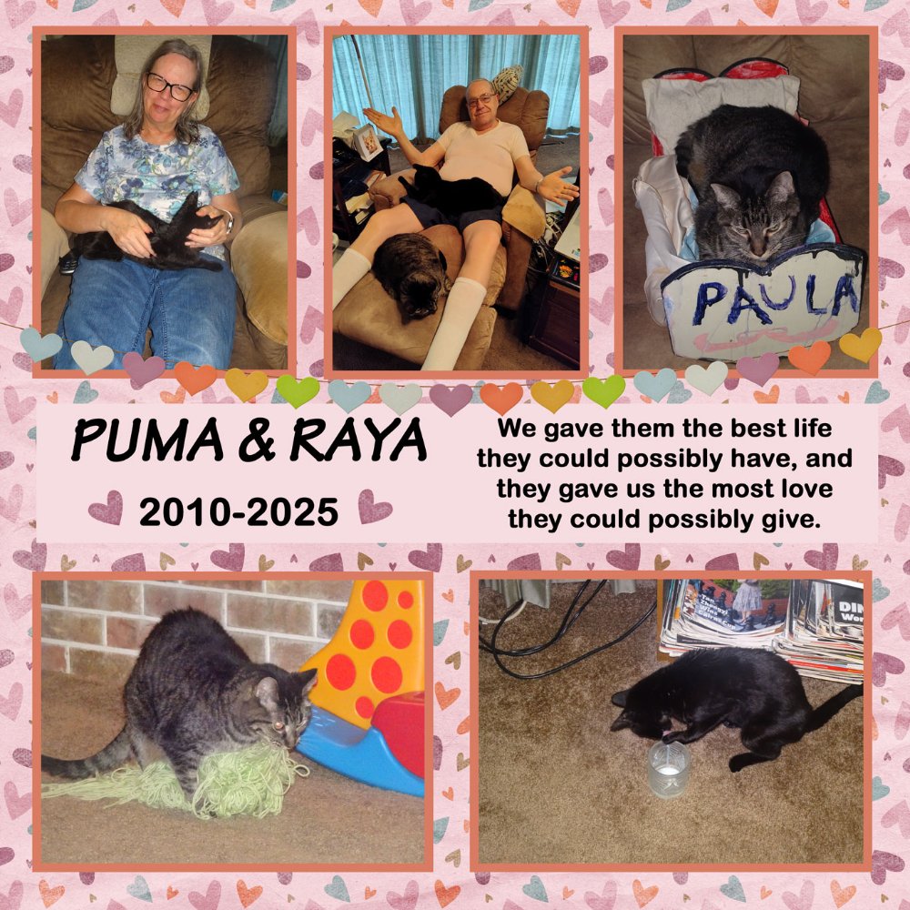 Puma & Raya
