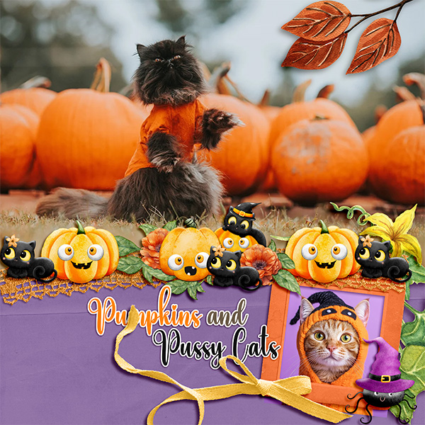 Pumpkin Cats