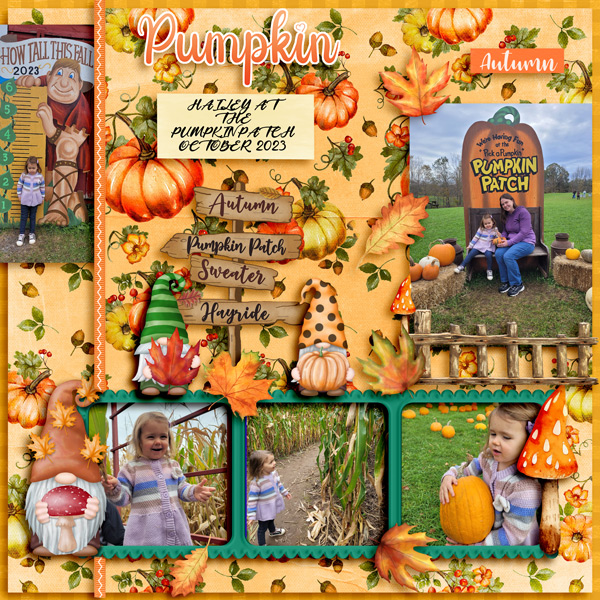 PUMPKIN -DD-12-23