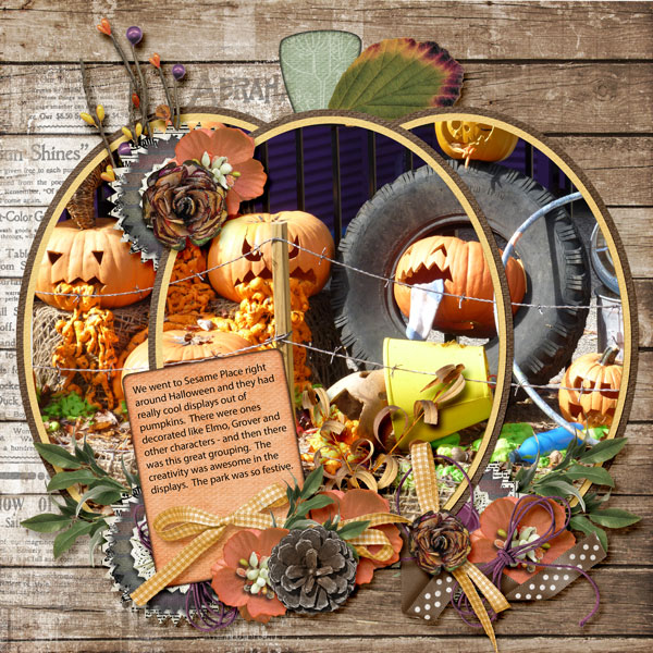 Pumpkin display