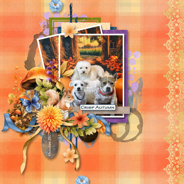 Pumpkin Doggies