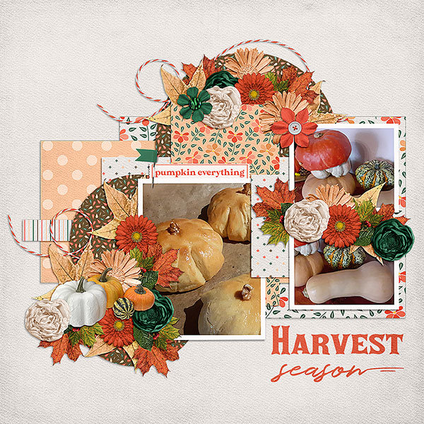 Pumpkin everything