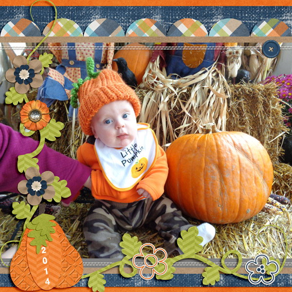 Pumpkin Farm