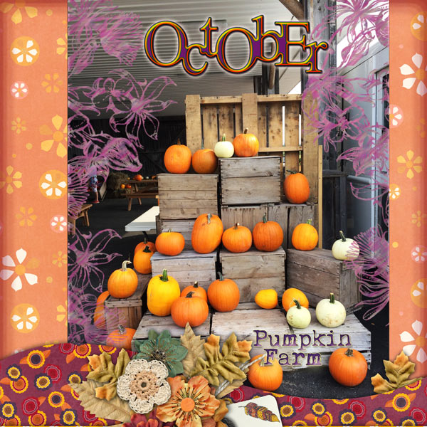 Pumpkin Farm