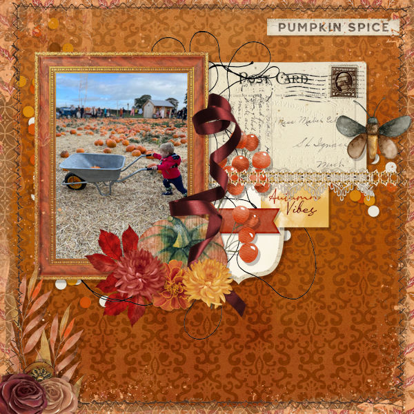 Pumpkin Farm