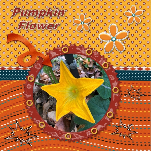 Pumpkin Flower