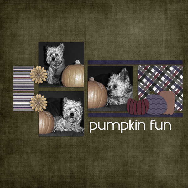 Pumpkin Fun