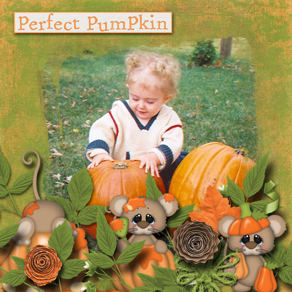 Pumpkin Guts