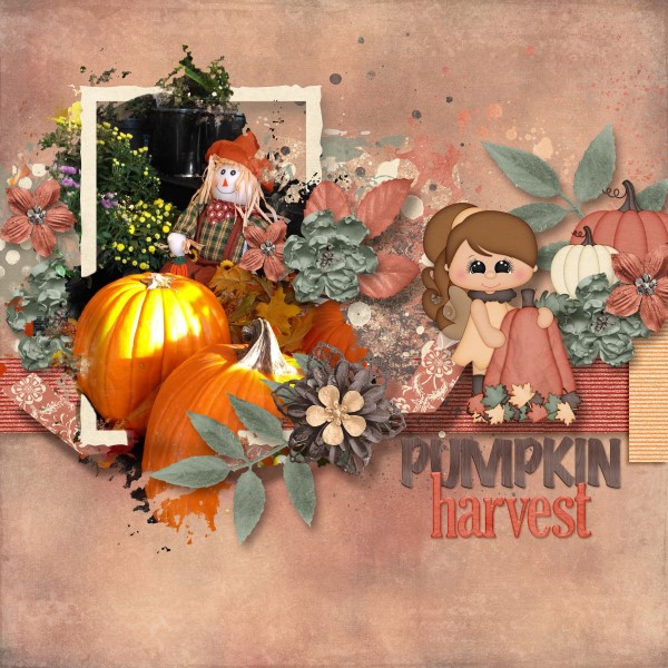 Pumpkin Harvest
