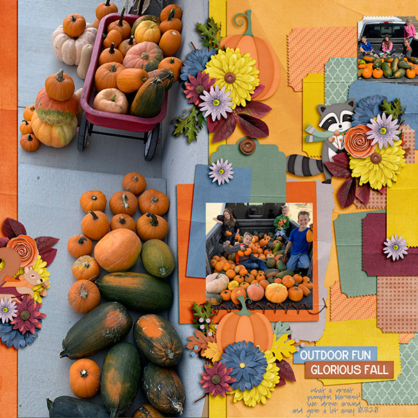 pumpkin harvest