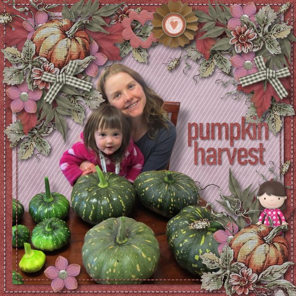 pumpkin harvest