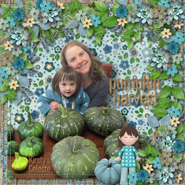 pumpkin harvest