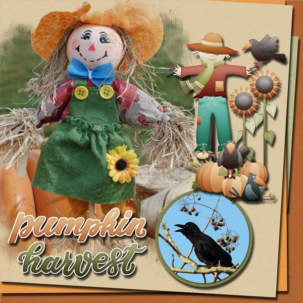 Pumpkin Harvest