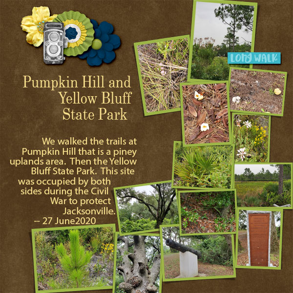 Pumpkin Hill and Yellow Bluff State Parks