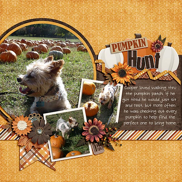 Pumpkin Hunt