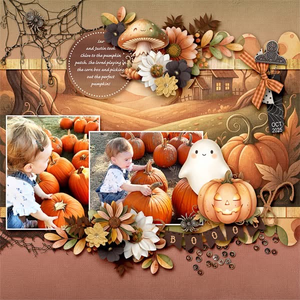 Pumpkin in the Patch
