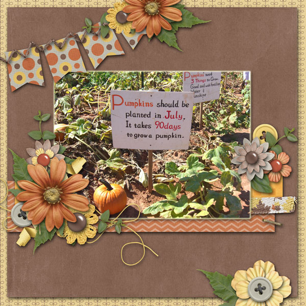 Pumpkin Instructions