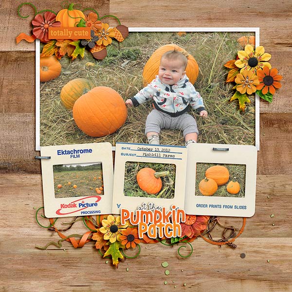 Pumpkin Kieran